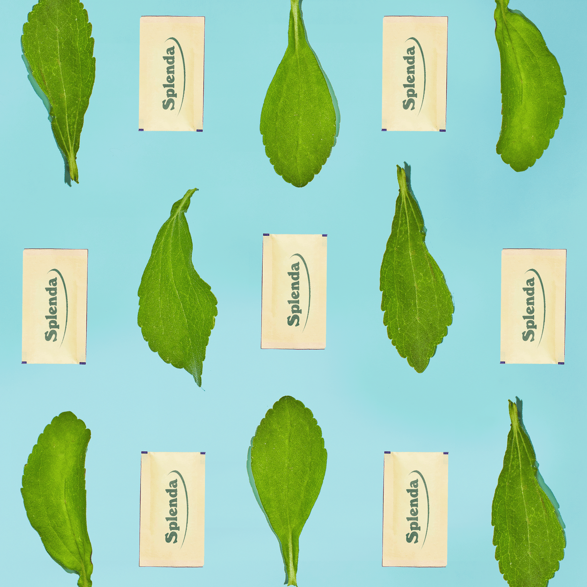 Stevia Packet Breaking Bad Stevia packet breaking bad
