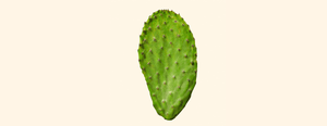Image of Nopal Cactus