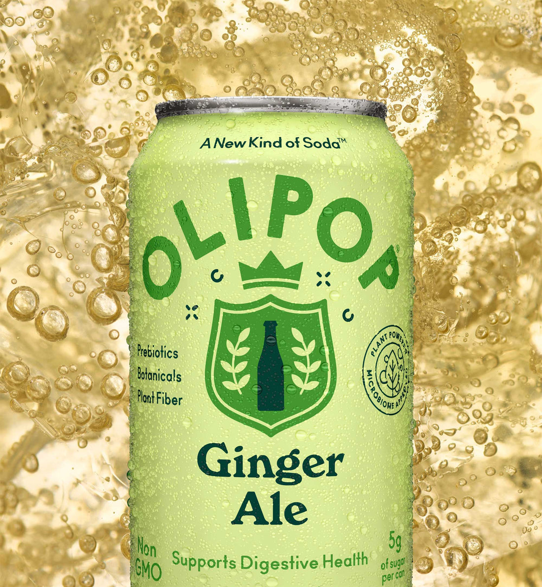 Ginger Ale soda can