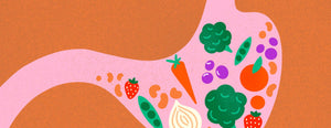 Illustration of food in a stomach