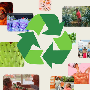 OLIPOP Life Cycle Assessments: Evaluating Our Environmental Impact