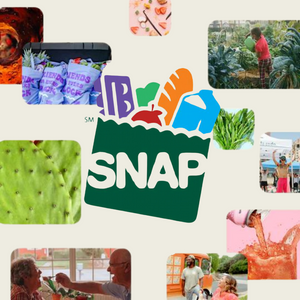 Taking Action Against Hunger: SNAP Program Partnerships & More