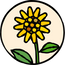 Jerusalem artichoke inulin